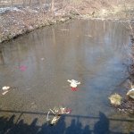phoca_thumb_m_maena 62 Fotogalerie